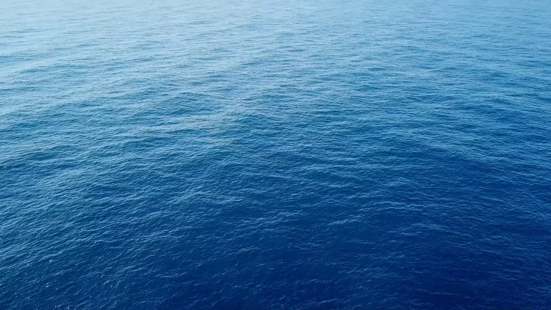 sea sea